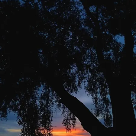 Dom Letniskowy Do Wynajecia Z Wlasna Przystania Nad Rzeka Narew - Linia Brzegowa Nyaraló