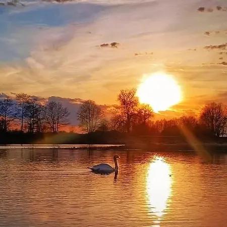 Nyaraló Dom Letniskowy Do Wynajecia Z Wlasna Przystania Nad Rzeka Narew - Linia Brzegowa