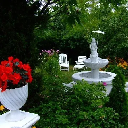 Dom Letniskowy Do Wynajecia Z Wlasna Przystania Nad Rzeka Narew - Linia Brzegowa *