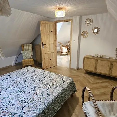 Dom Letniskowy Do Wynajecia Z Wlasna Przystania Nad Rzeka Narew - Linia Brzegowa *