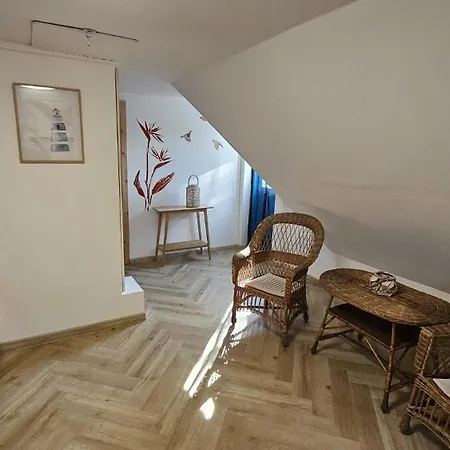 Dom Letniskowy Do Wynajecia Z Wlasna Przystania Nad Rzeka Narew - Linia Brzegowa Dzbenin