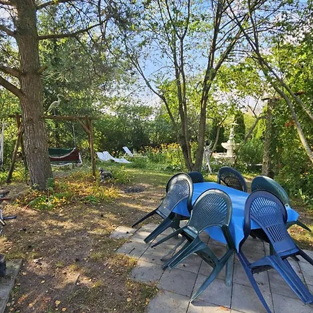 Dom Letniskowy Do Wynajecia Z Wlasna Przystania Nad Rzeka Narew - Linia Brzegowa Casa vacanze