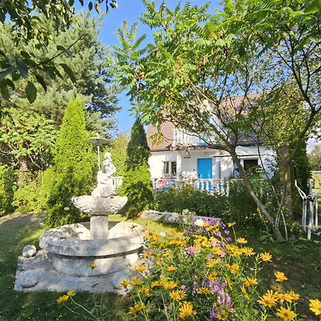 Dom Letniskowy Do Wynajecia Z Wlasna Przystania Nad Rzeka Narew - Linia Brzegowa