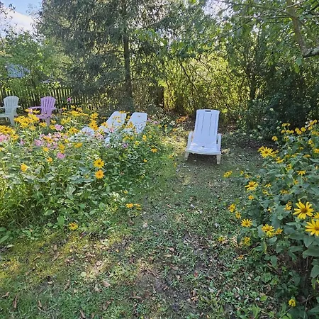 Dom Letniskowy Do Wynajecia Z Wlasna Przystania Nad Rzeka Narew - Linia Brzegowa *